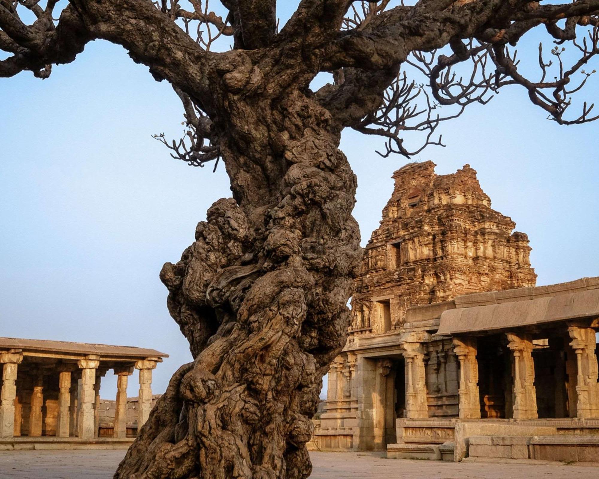 Hyatt Place Hampi Esterno foto