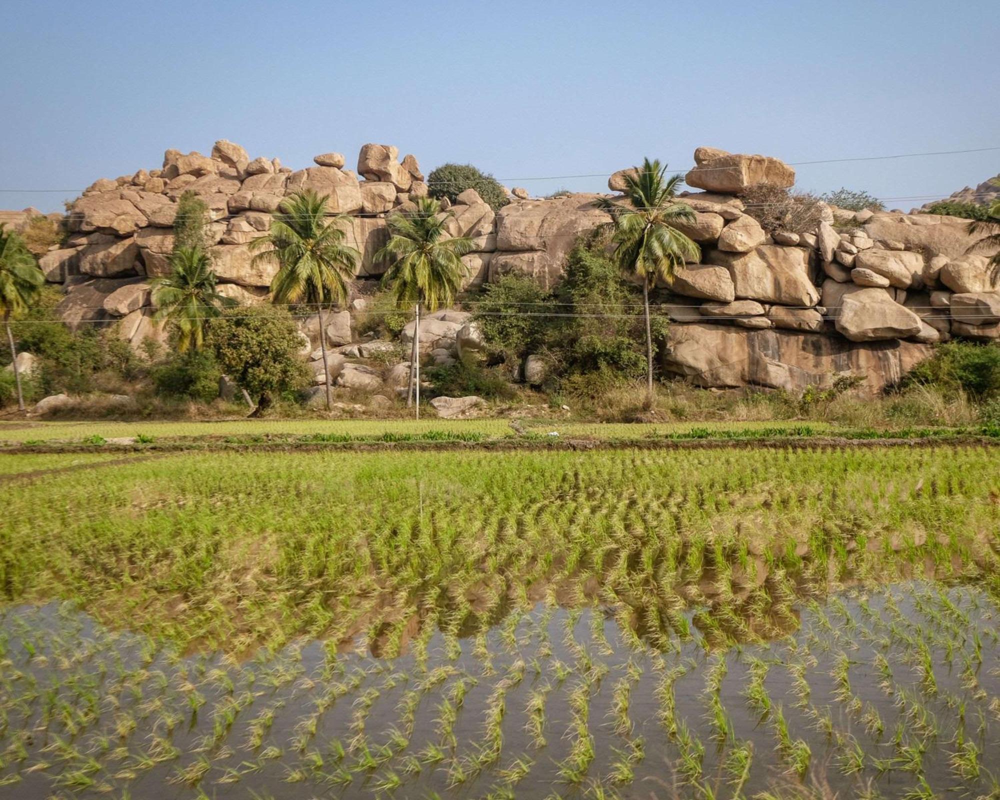 Hyatt Place Hampi Esterno foto